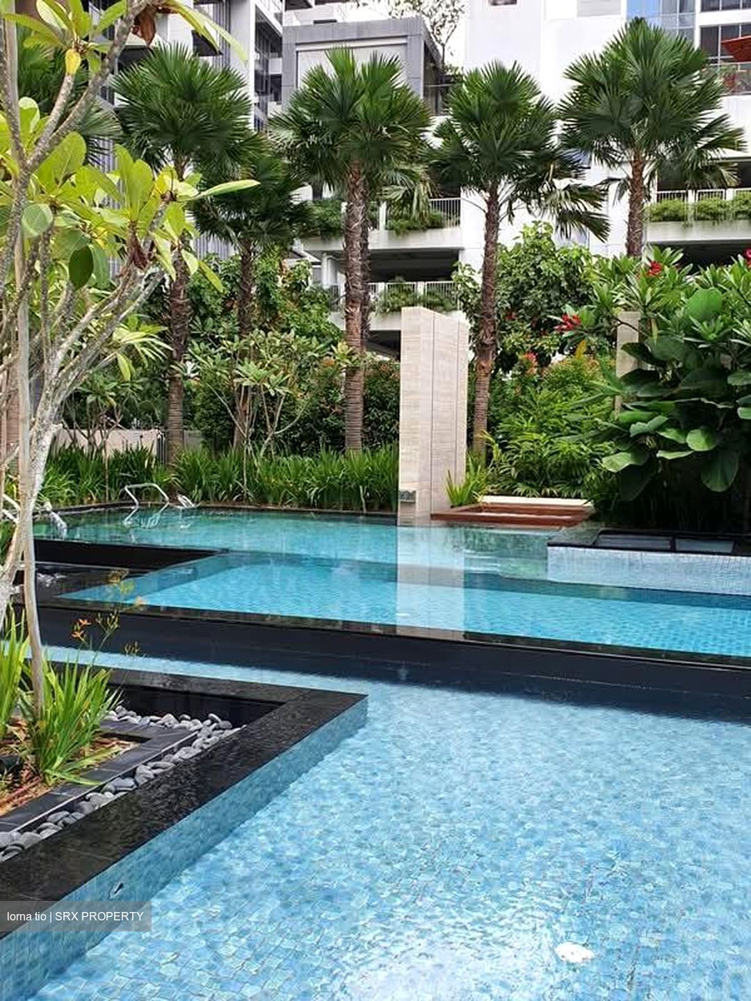 Amber 45 (D15), Apartment #573539751